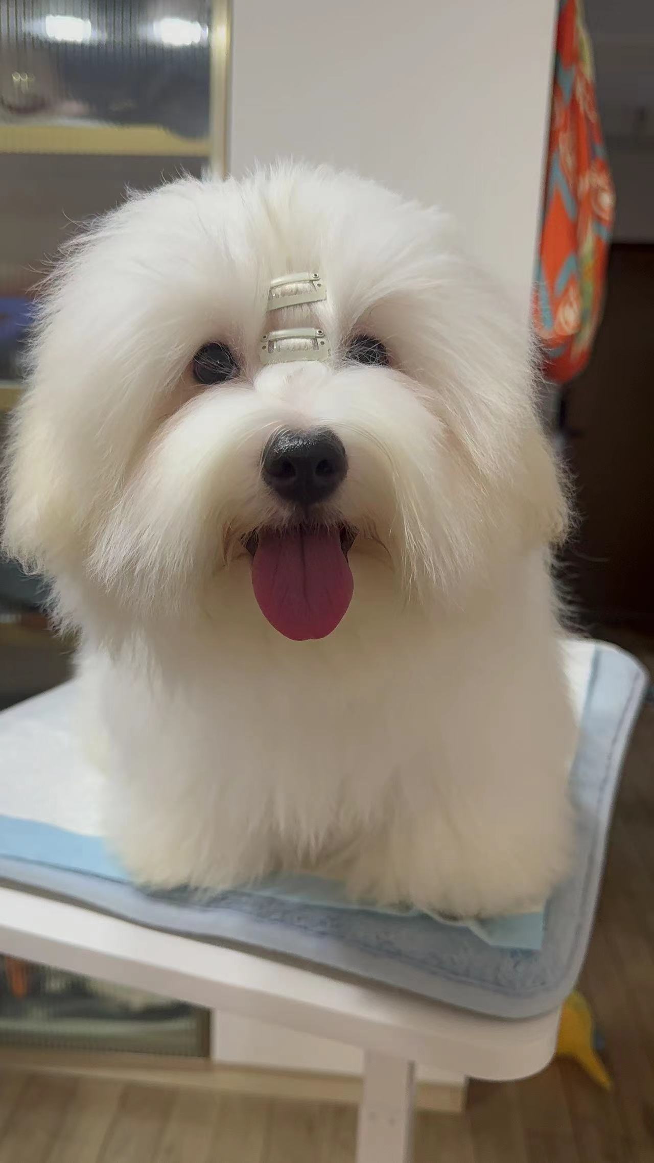 饭饭弟弟