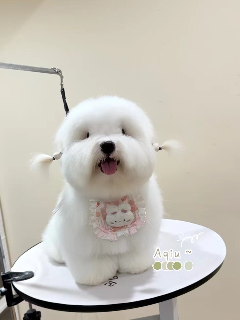 东风弟弟