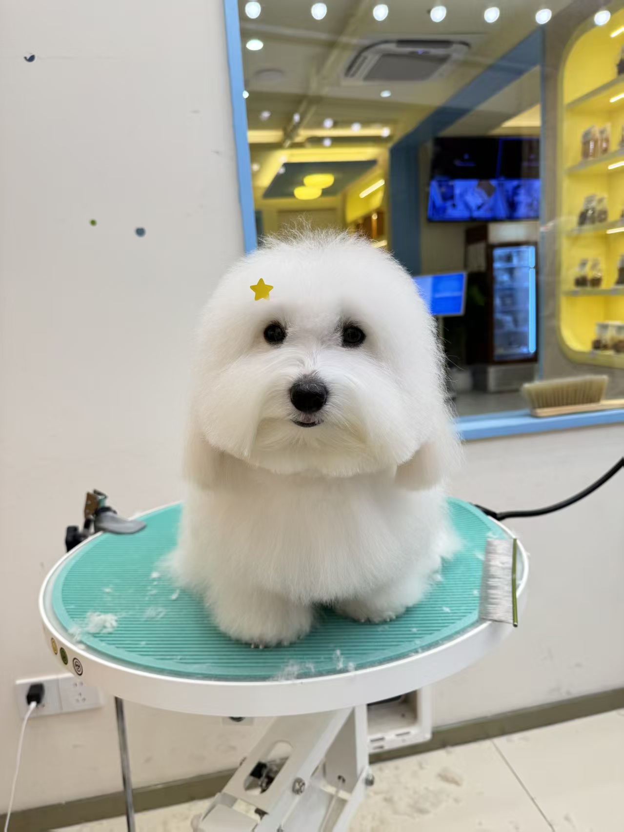 玛莎妹妹